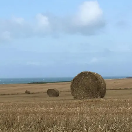 Studio Sur Les Hauteurs De - La Naturelle * Wimereux